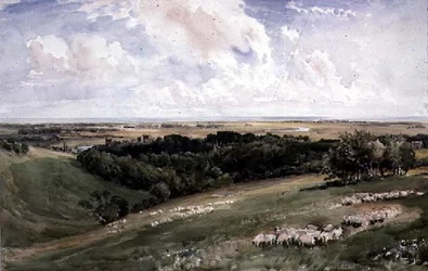 Arundel Park, Sussex